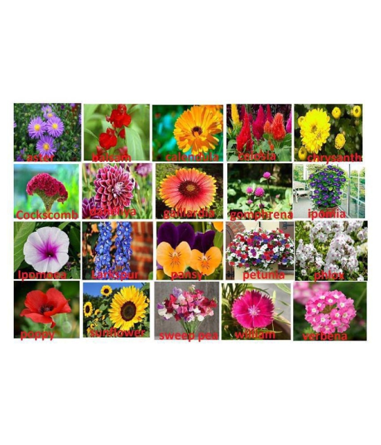 ONLY FOR ORGANIC 20 Flower Seeds (1200 + Seeds) and Instruction Manual