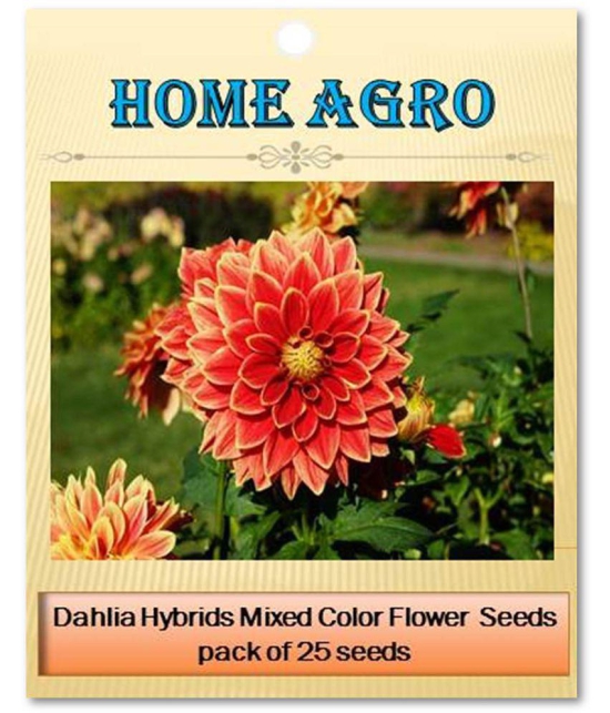 homeagro - Dahlia Mixed Flower ( 25 Seeds )