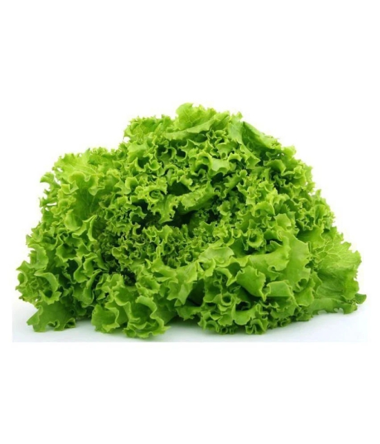 Matrix Hi- Yield Lettuce Seeds