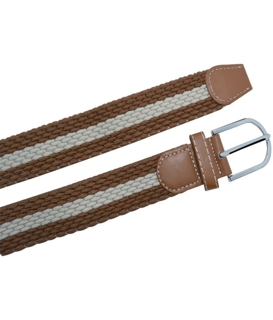 Loopa Brown Nylon Casual Belt Pack of 1 - None