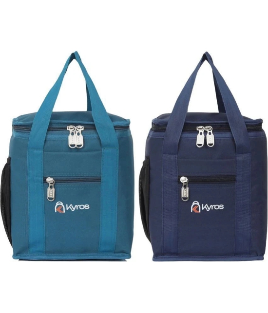 Kyros Multi Color Polyester Lunch Bag Pack of 2 - Multi Color