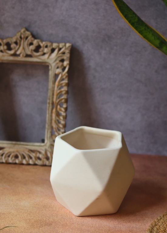 White Hexagon Planter