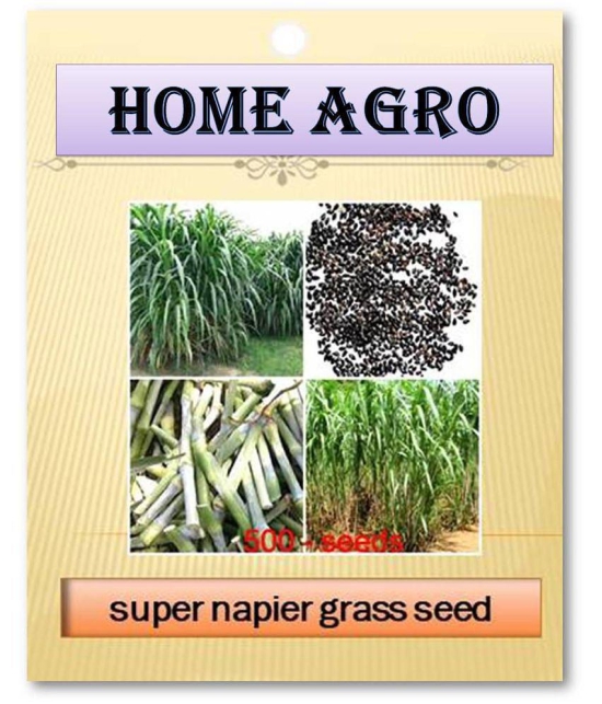 HN organic seed - Grass Seeds ( 500 )