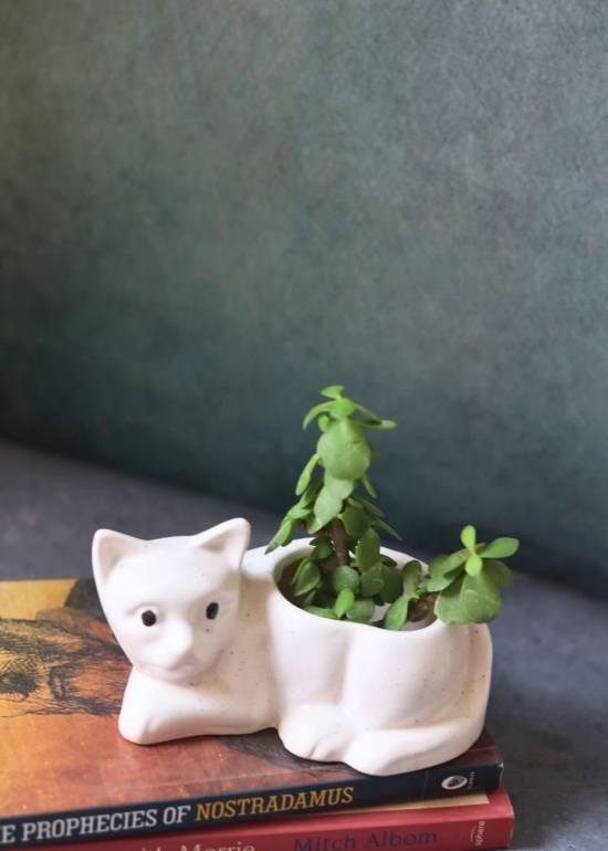 Cat Succulent Planter