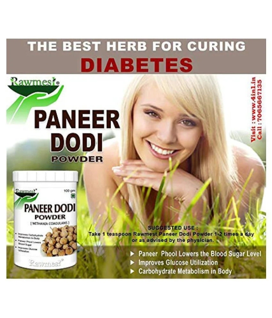 rawmest Paneer Dodi Powder 100 gm Vitamins Powder