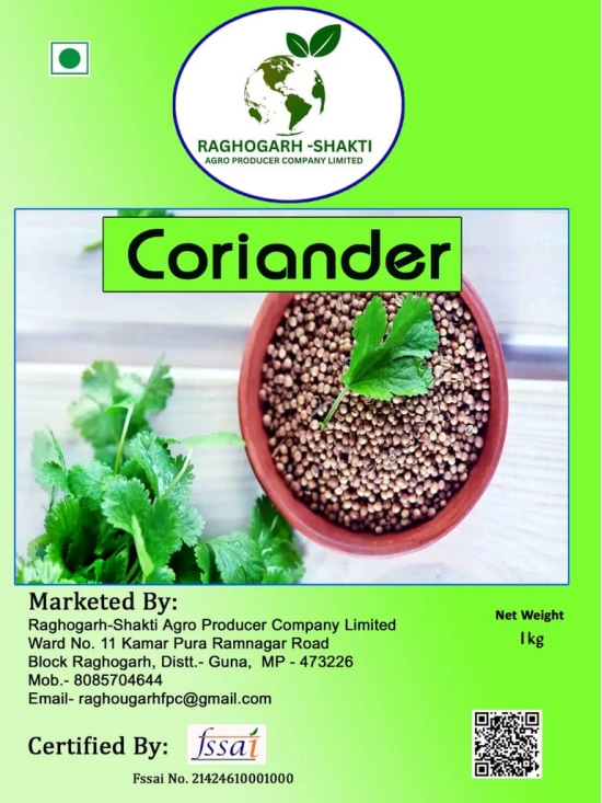 Coriander