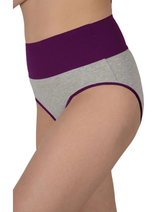 Madam Red,Purple PANTY Nylon Solid Womens Hipster ( Pack of 2 ) - None