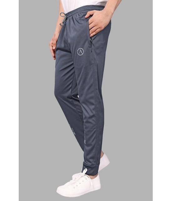 Anand Grey Lycra Mens Joggers ( Pack of 1 ) - None