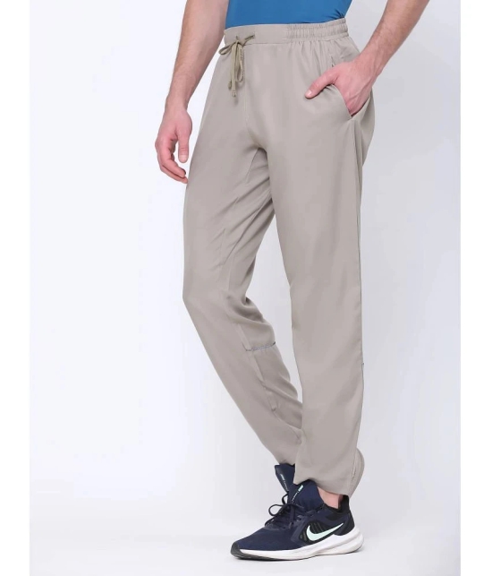 Dida Sportswear Beige Polyester Mens Sports Trackpants ( Pack of 1 ) - None