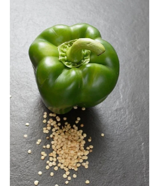 Green capsicum hybrid vegetable seeds (50 seeds)