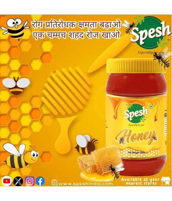 SPESH Honey 500 g Pack of 2