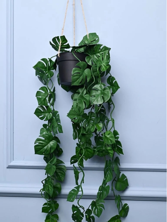 Green Hanging Planter - Cylindrical Shape