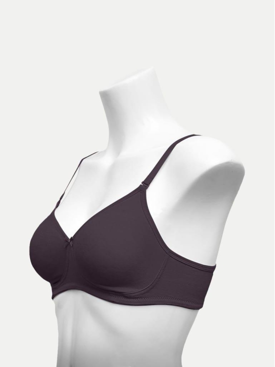 Women Zara Bra Maroon Color