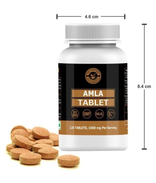 Holy Natural Amla Tablet - 120 no.s Vitamins Tablets