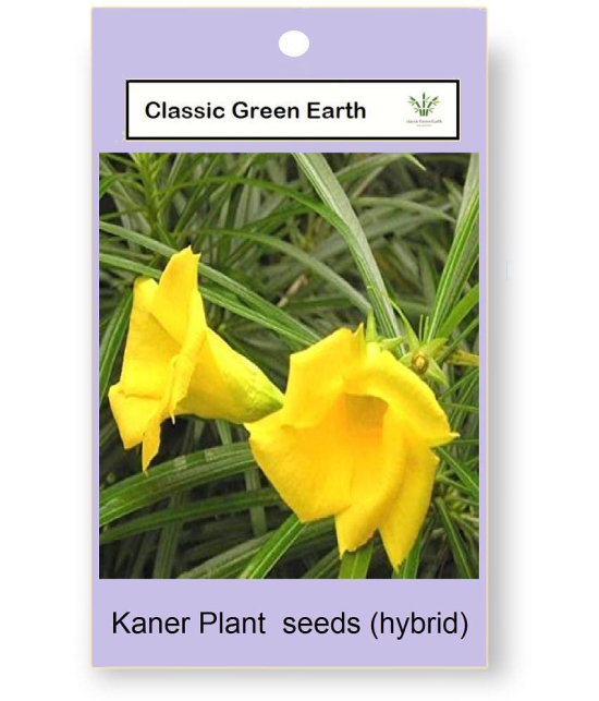 CLASSIC GREEN EARTH - Kantola Flower ( 10 Seeds )