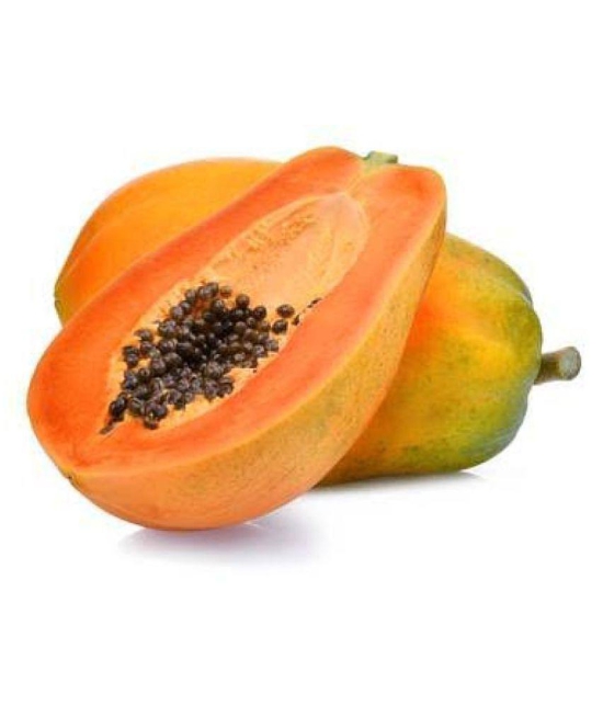 Papaya Fruit Hybrid (Papita) Seeds - 40 + Instruction Manual