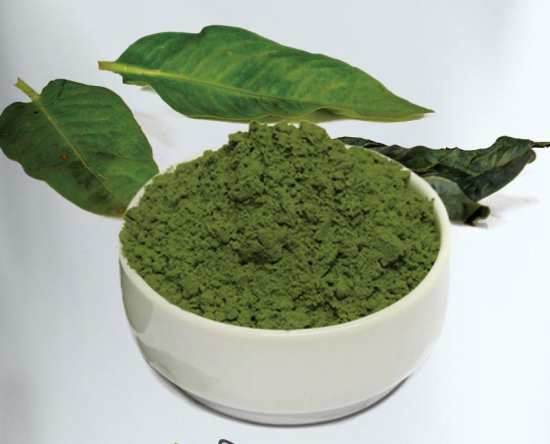 Holy Natural Indigo Powder - 250 GM Henna 250 g