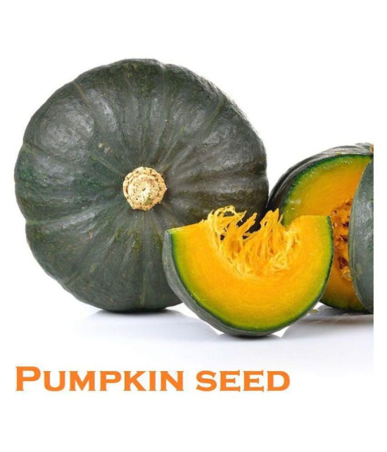 Hybrid Pumpkin Seeds ( 20 Seeds)