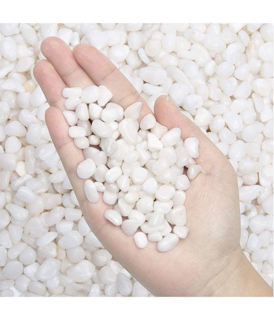 Happy Fins Decorative White Aquarium Pebbles/Stone 1 kg