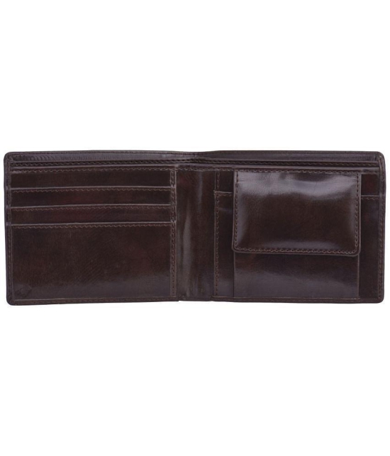 HAMT Leather Brown Casual Regular Wallet - Brown