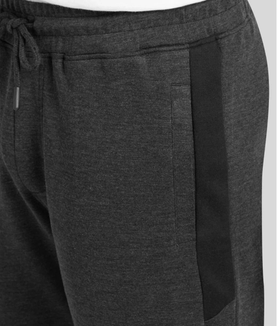 XYXX - Grey Cotton Mens Trackpants ( Pack of 1 ) - XL