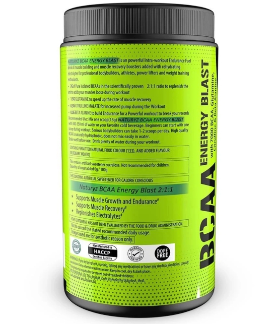 NATURYZ BCAA Energy Blast Pre Intra Post Workout For Recovery & Energy - 450g(BlueBerry Flavour)