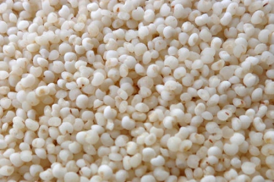 Vattam Kodo Millet, 500 Gm