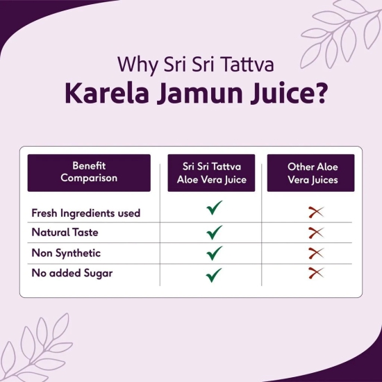 Sri Sri Tattva Karela Jamun Juice - Maintain Blood Sugar | Pancreatic Support, Improves Metabolism, Reduces Fatigue | 1L