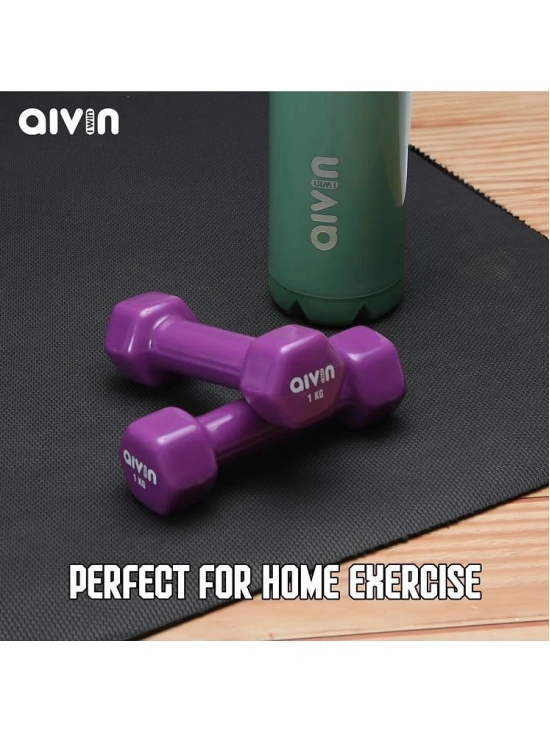 Aivin Iron 1 Kg Fixed Hex Dumbbell