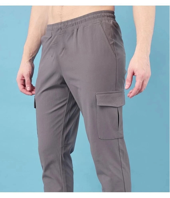 PPTHEFASHIONHUB Grey Lycra Mens Trackpants ( Pack of 1 ) - None