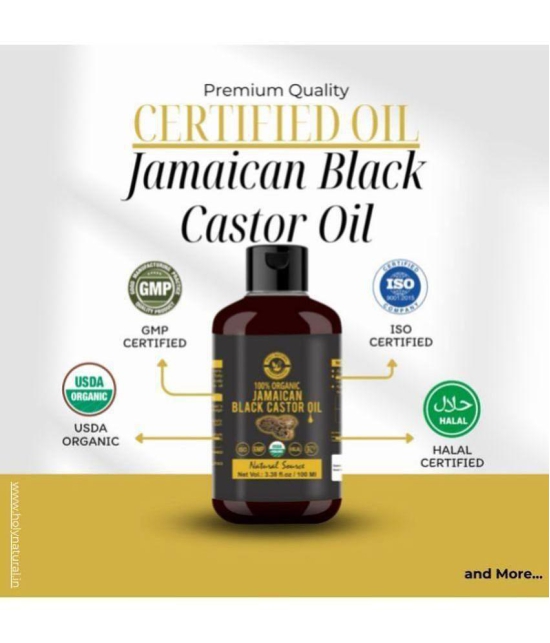 Holy Natural Hair Growth Castor Oil 100 ml ( Pack of 1 )