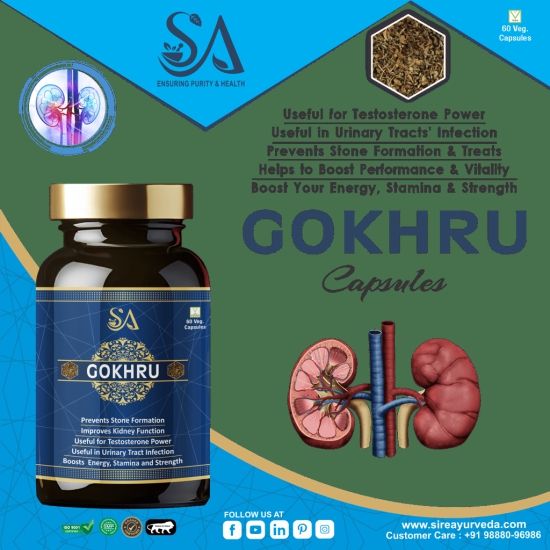 GOKHRU(Vitality Support, Immune Booster, Promotes Overall Health)