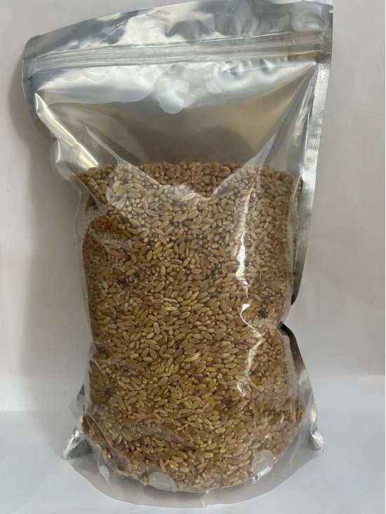 Wheat grains - 1Kg