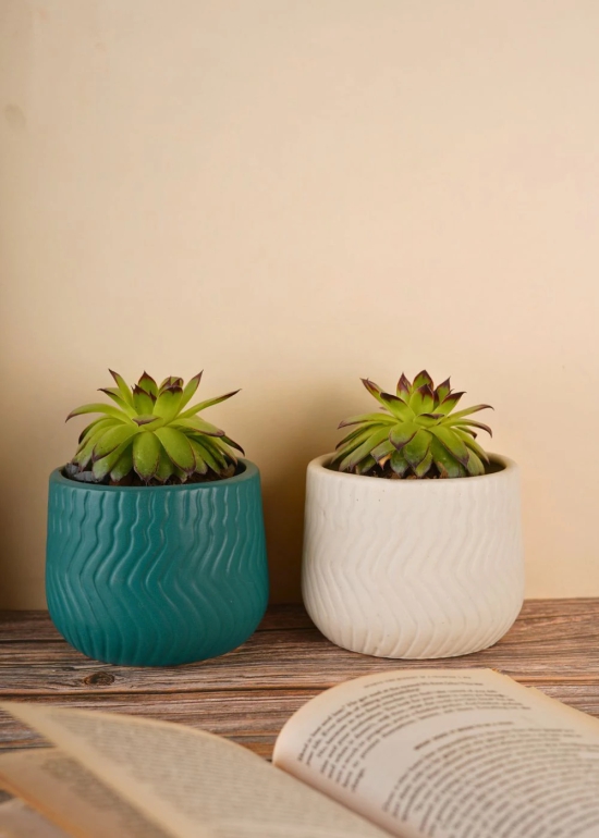 Essential Planter - White & teal