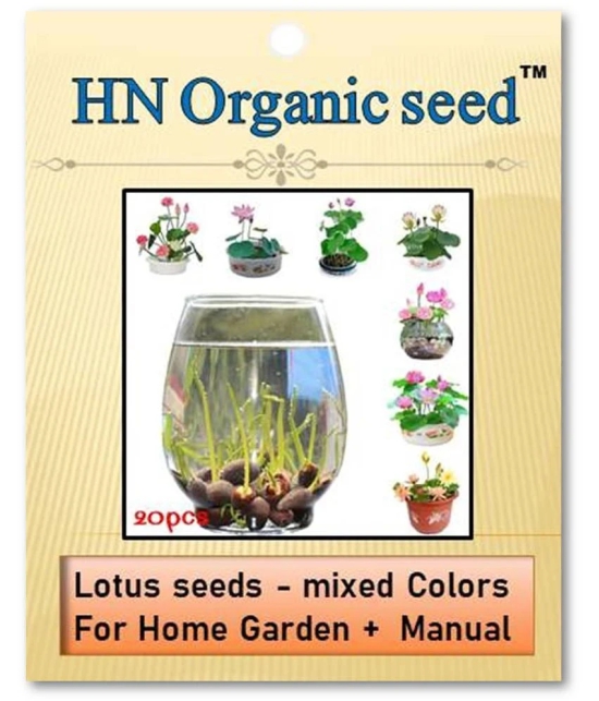 homeagro - Flower Seeds ( Lotus seeds -mixed colours 20 seeds )