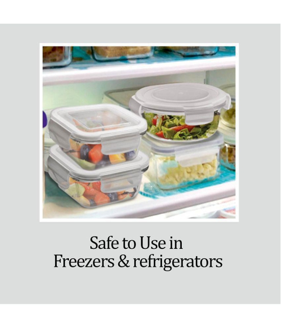 Treo by Milton All Fresh Square Glass Tiffin Containers With Insulated Jacket, 320 ml Each, Grey