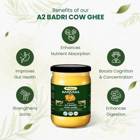 Organic A2 Badri Cow Ghee 1 Litre (Combo Pack of 2 * 500ml) | Nutritious & Healthy Ghee | Badri Ghee in Glass Jar Bottle | Organic Ghee For Better Digestion | Ghee from Grass Fed Badri Cows | Nutrient Rich Traditional Ghee