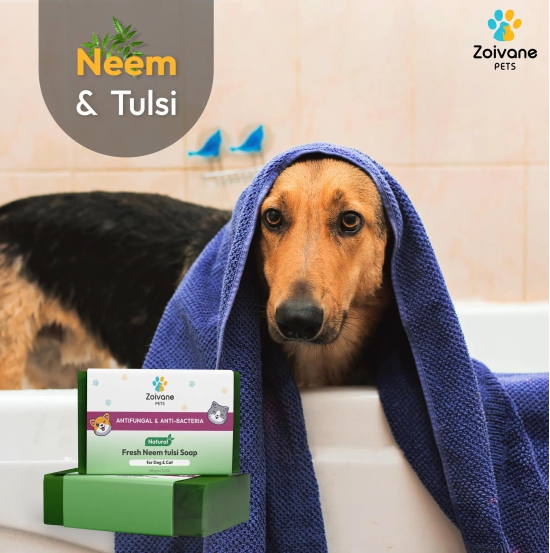 Neem tulsi Soap