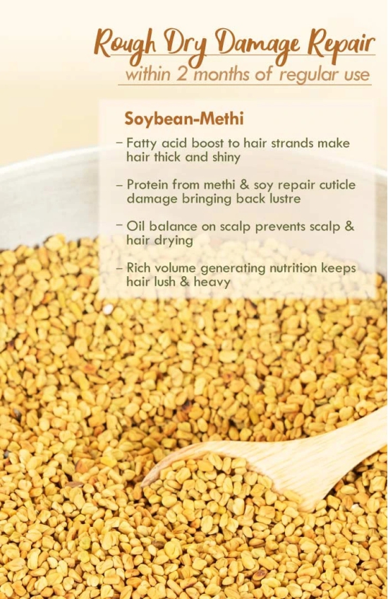 Soybean Methi Summer Hair Oil Rough Dry Damage Repair-100ml