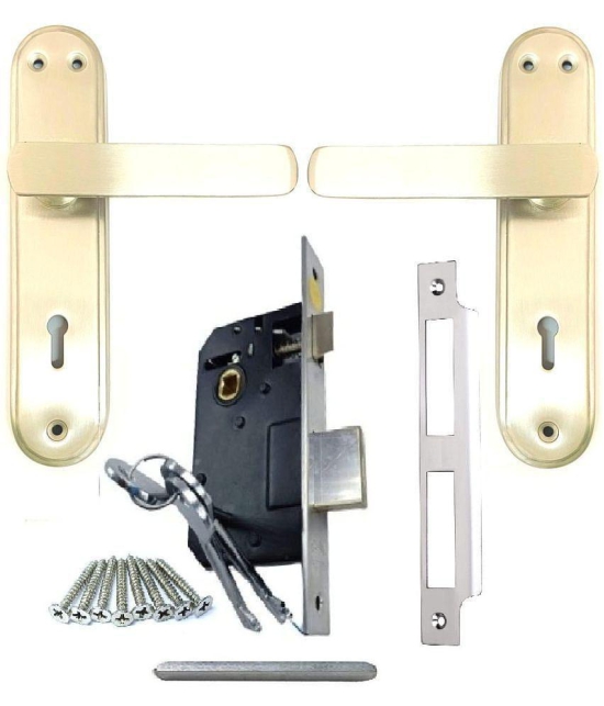 Onmax Stainless Steel 7 inches High Quality Premium Range Matt Satin Silver Finish with Slim Mortise Door Lock Set and 6 Lever Double Action Brass Latch Brass Bhogli Lockset for House Hotel 