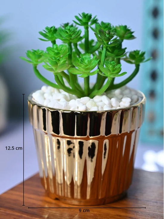 Golden Stripes - Artificial Plant with Glossy Ceramic Pot