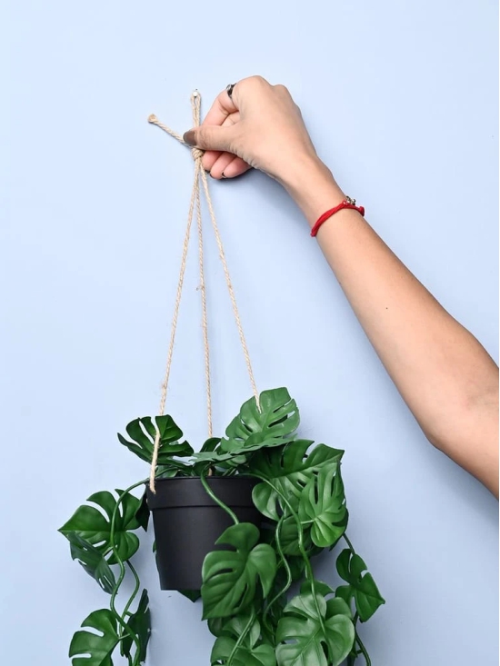 Green Hanging Planter - Cylindrical Shape