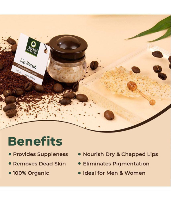 Organic Harvest Lip Scrub with Coffee Extracts, For Lightening & Brightening Dull Lips, Infused with Natural Products to Repair Dark and Damaged Lips - 8gm