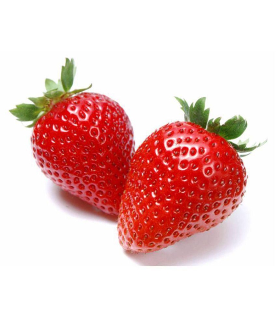 Matrix Hybrid Strawberry Seeds for Garden/Pot