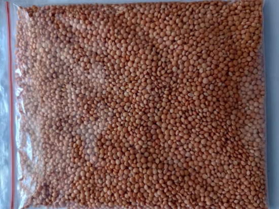 Red Lentil (masoor dal)