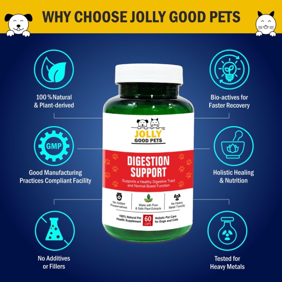 Jolly Good Pets Digestion Support Supplements for Dogs & Cats I 60 Capsules