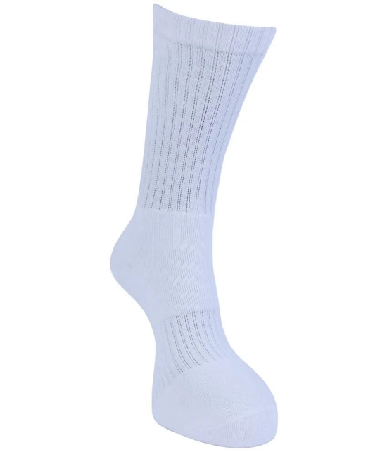 Dollar - Cotton Blend Mens Solid White Full Length Socks ( Pack of 3 ) - White