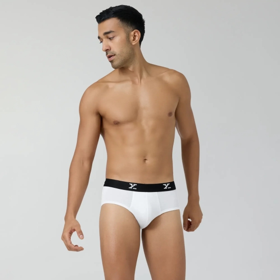 Ace Modal Briefs Polar White L