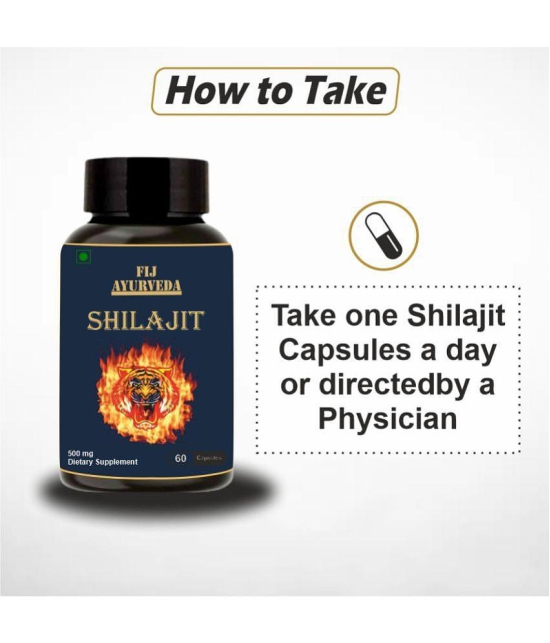 FIJ AYURVEDA Shilajit  Capsule Supports Vigor & Vitality - 500mg 60 Capsules (Pack of 2)