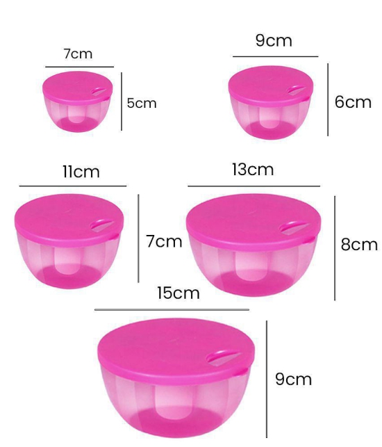 HOMETALES Multi-Purpose Container 1100ml, 700ml, 450ml, 300ml, 150ml,Blue (5U) - Pink